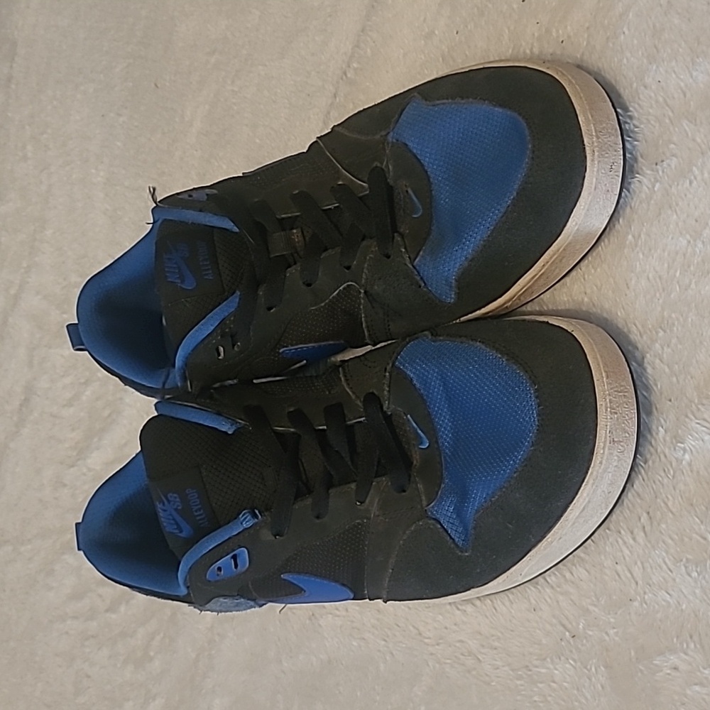 Nike Men's Black and Blue SB Alleyoop